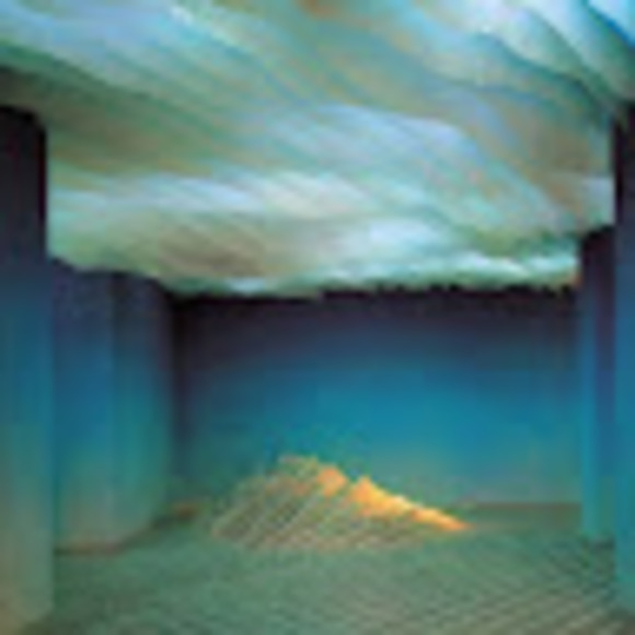 Meet your Posher, Carrie - Picture 1 of 1